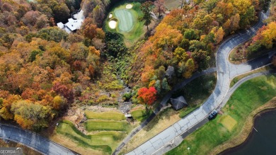 1.35 Acre Panoramic View Lot - Waterfall at Lake Burton on Waterfall Country Club in Georgia - for sale on GolfHomes.com, golf home, golf lot