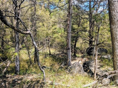 Ready to build your dream home? Quiet and gently wooded on a on Holiday Island Golf Course in Arkansas - for sale on GolfHomes.com, golf home, golf lot