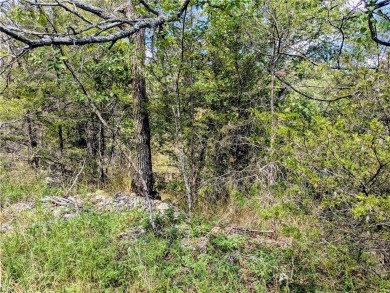 Ready to build your dream home? Quiet and gently wooded on a on Holiday Island Golf Course in Arkansas - for sale on GolfHomes.com, golf home, golf lot