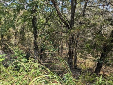 Ready to build your dream home? Quiet and gently wooded within a on Holiday Island Golf Course in Arkansas - for sale on GolfHomes.com, golf home, golf lot