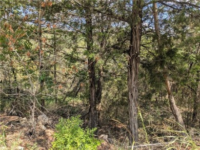 Ready to build your dream home? Quiet and gently wooded within a on Holiday Island Golf Course in Arkansas - for sale on GolfHomes.com, golf home, golf lot