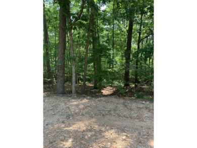 Beautiful Balboa Golf Course Lot to build your dream home on! on Balboa Golf Course in Arkansas - for sale on GolfHomes.com, golf home, golf lot