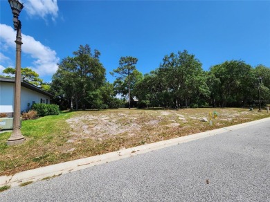 Build Your Dream Home in the Prestigious Champions Club of on Fox Hollow Golf Club in Florida - for sale on GolfHomes.com, golf home, golf lot