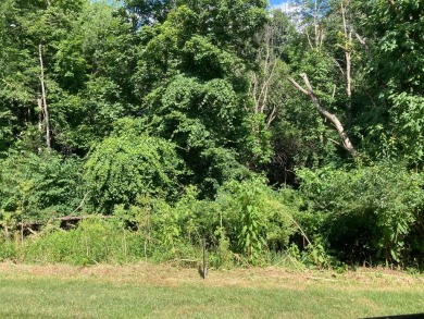 Great opportunity to own a wooded building lot in Apple Valley on Apple Valley Golf Course in Ohio - for sale on GolfHomes.com, golf home, golf lot