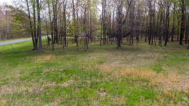 WOODED ONE ACRE Building Site offers an attractive canvas for on Whittaker Woods Golf Course in Michigan - for sale on GolfHomes.com, golf home, golf lot