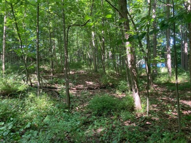 Great opportunity to own a wooded building lot in Apple Valley on Apple Valley Golf Course in Ohio - for sale on GolfHomes.com, golf home, golf lot