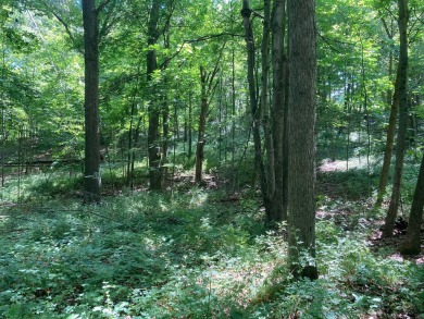 Great opportunity to own a wooded building lot in Apple Valley on Apple Valley Golf Course in Ohio - for sale on GolfHomes.com, golf home, golf lot