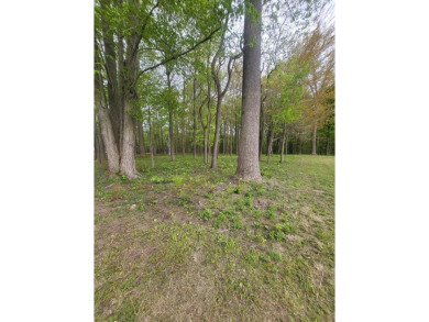WOODED ONE ACRE Building Site offers an attractive canvas for on Whittaker Woods Golf Course in Michigan - for sale on GolfHomes.com, golf home, golf lot