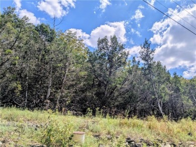 Ready to build your dream home?  Quiet and gently wooded within on Holiday Island Executive Golf Course in Arkansas - for sale on GolfHomes.com, golf home, golf lot