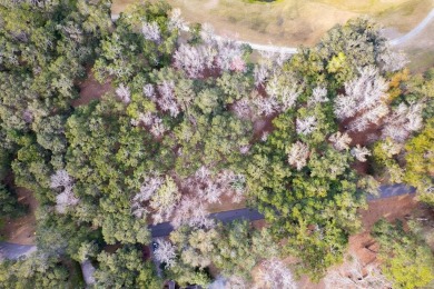 Discover the charm of Sutherland Bluff, a hidden gem on on Sapelo Hammock Golf Club in Georgia - for sale on GolfHomes.com, golf home, golf lot