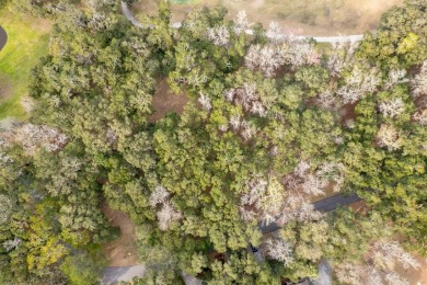 Discover the charm of Sutherland Bluff, a hidden gem on on Sapelo Hammock Golf Club in Georgia - for sale on GolfHomes.com, golf home, golf lot