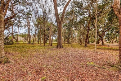Discover the charm of Sutherland Bluff, a hidden gem on on Sapelo Hammock Golf Club in Georgia - for sale on GolfHomes.com, golf home, golf lot