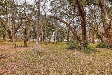 Discover the charm of Sutherland Bluff, a hidden gem on on Sapelo Hammock Golf Club in Georgia - for sale on GolfHomes.com, golf home, golf lot