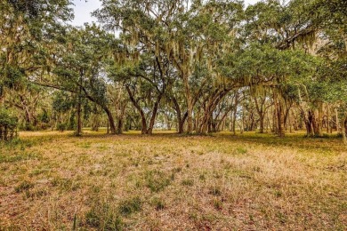 Discover the charm of Sutherland Bluff, a hidden gem on on Sapelo Hammock Golf Club in Georgia - for sale on GolfHomes.com, golf home, golf lot