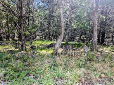 Ready to build your dream home?  Quiet and gently wooded within on Holiday Island Executive Golf Course in Arkansas - for sale on GolfHomes.com, golf home, golf lot