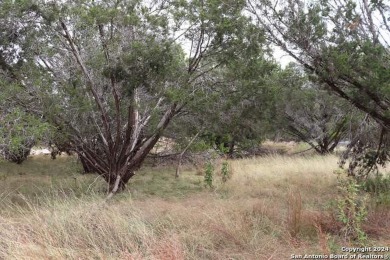 Beautiful lot on a quiet street backing to a greenbelt by the on Quicksand At Woodcreek Golf Club in Texas - for sale on GolfHomes.com, golf home, golf lot