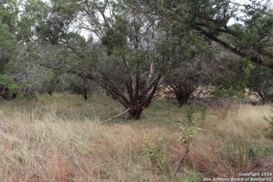 Beautiful lot on a quiet street backing to a greenbelt by the on Quicksand At Woodcreek Golf Club in Texas - for sale on GolfHomes.com, golf home, golf lot