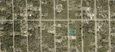 Here's your chance to own a spacious half-acre residential lot on Lehigh Resort Club in Florida - for sale on GolfHomes.com, golf home, golf lot