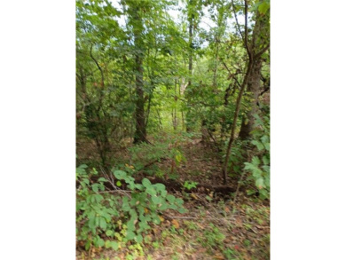 A very private & quiet area in a circle Rd neighborhood so no on Bella Vista Country Club - Highlands in Arkansas - for sale on GolfHomes.com, golf home, golf lot