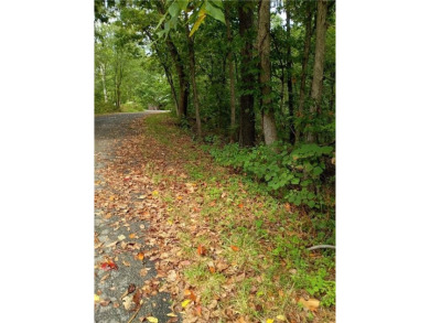A very private & quiet area in a circle Rd neighborhood so no on Bella Vista Country Club - Highlands in Arkansas - for sale on GolfHomes.com, golf home, golf lot