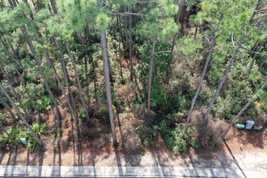 Prime vacant lot in St. James Golf & Pickleball Resort! Discover on St. James Bay in Florida - for sale on GolfHomes.com, golf home, golf lot