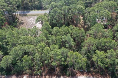 Prime vacant lot in St. James Golf & Pickleball Resort! Discover on St. James Bay in Florida - for sale on GolfHomes.com, golf home, golf lot