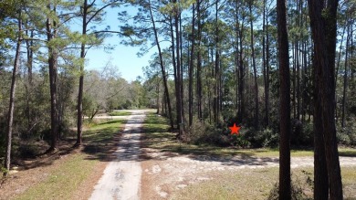 Prime Wooded Corner Lot Near the Bay! This beautifully wooded on St. James Bay in Florida - for sale on GolfHomes.com, golf home, golf lot