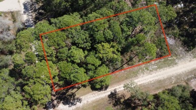 Prime Wooded Corner Lot Near the Bay! This beautifully wooded on St. James Bay in Florida - for sale on GolfHomes.com, golf home, golf lot