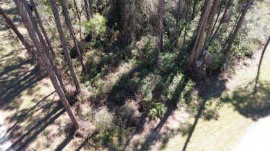 Prime Wooded Corner Lot Near the Bay! This beautifully wooded on St. James Bay in Florida - for sale on GolfHomes.com, golf home, golf lot