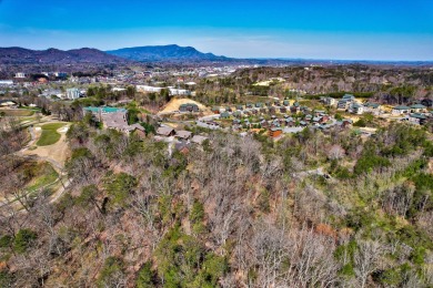 Gorgeous, Updated Investment Cabin Available in Pigeon Forge! on Gatlinburg Golf Course in Tennessee - for sale on GolfHomes.com, golf home, golf lot