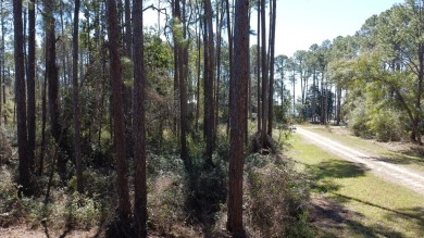 Prime Wooded Corner Lot Near the Bay! This beautifully wooded on St. James Bay in Florida - for sale on GolfHomes.com, golf home, golf lot