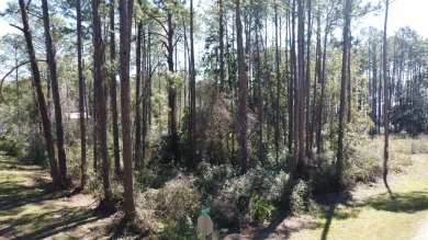 Prime Wooded Corner Lot Near the Bay! This beautifully wooded on St. James Bay in Florida - for sale on GolfHomes.com, golf home, golf lot