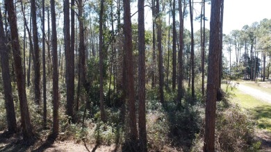 Prime Wooded Corner Lot Near the Bay! This beautifully wooded on St. James Bay in Florida - for sale on GolfHomes.com, golf home, golf lot