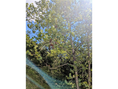 Ready to build your dream home? This lot is walking distance on Holiday Island Executive Golf Course in Arkansas - for sale on GolfHomes.com, golf home, golf lot
