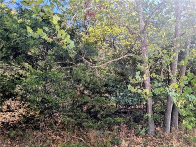 Ready to build your dream home? This lot is walking distance on Holiday Island Executive Golf Course in Arkansas - for sale on GolfHomes.com, golf home, golf lot
