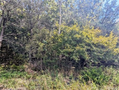Ready to build your dream home? This lot is walking distance on Holiday Island Executive Golf Course in Arkansas - for sale on GolfHomes.com, golf home, golf lot