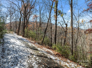 Discover the perfect blend of luxury and nature with this on Bear Lake Golf Club in North Carolina - for sale on GolfHomes.com, golf home, golf lot