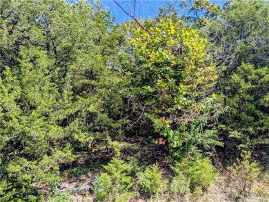 Ready to build your dream home? This lot is walking distance on Holiday Island Executive Golf Course in Arkansas - for sale on GolfHomes.com, golf home, golf lot