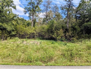 Ready to build your dream home? Quiet and gently wooded within a on Holiday Island Executive Golf Course in Arkansas - for sale on GolfHomes.com, golf home, golf lot
