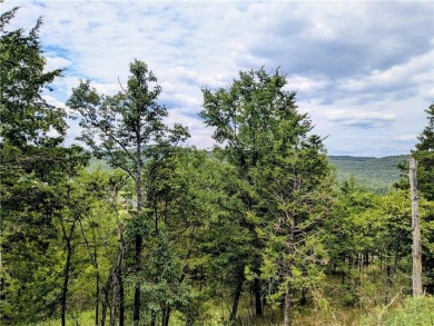 Ready to build your dream home? Spectacular vista with potential on Holiday Island Executive Golf Course in Arkansas - for sale on GolfHomes.com, golf home, golf lot