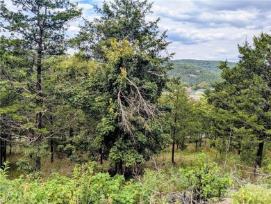 Ready to build your dream home? Spectacular vista with potential on Holiday Island Executive Golf Course in Arkansas - for sale on GolfHomes.com, golf home, golf lot