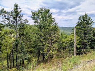Ready to build your dream home? Spectacular vista with potential on Holiday Island Executive Golf Course in Arkansas - for sale on GolfHomes.com, golf home, golf lot