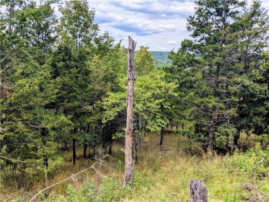 Ready to build your dream home? Spectacular vista with potential on Holiday Island Executive Golf Course in Arkansas - for sale on GolfHomes.com, golf home, golf lot