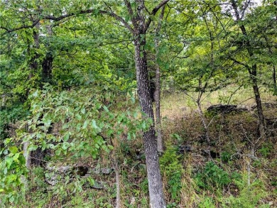 Ready to build your dream home? Spectacular vista with potential on Holiday Island Executive Golf Course in Arkansas - for sale on GolfHomes.com, golf home, golf lot