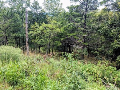 Ready to build your dream home? Spectacular vista with potential on Holiday Island Executive Golf Course in Arkansas - for sale on GolfHomes.com, golf home, golf lot
