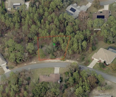 Beautiful Estate sized lot (.28) in Sugarmill Woods, Cypress on Sugarmill Woods Golf and Country Club in Florida - for sale on GolfHomes.com, golf home, golf lot