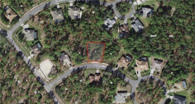 Beautiful Estate sized lot (.28) in Sugarmill Woods, Cypress on Sugarmill Woods Golf and Country Club in Florida - for sale on GolfHomes.com, golf home, golf lot