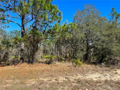 Beautiful Estate sized lot (.28) in Sugarmill Woods, Cypress on Sugarmill Woods Golf and Country Club in Florida - for sale on GolfHomes.com, golf home, golf lot