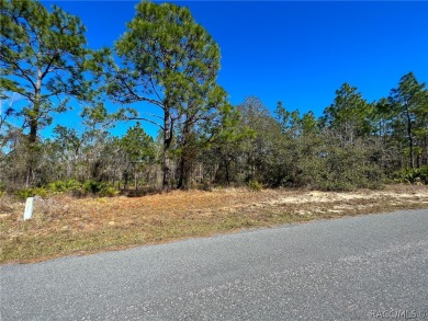 Beautiful Estate sized lot (.28) in Sugarmill Woods, Cypress on Sugarmill Woods Golf and Country Club in Florida - for sale on GolfHomes.com, golf home, golf lot