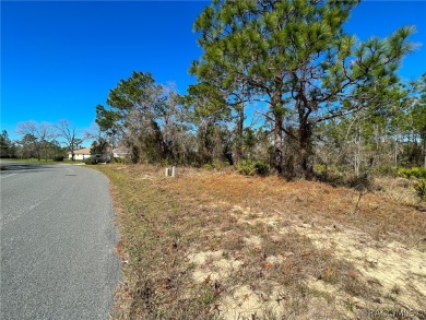 Beautiful Estate sized lot (.28) in Sugarmill Woods, Cypress on Sugarmill Woods Golf and Country Club in Florida - for sale on GolfHomes.com, golf home, golf lot